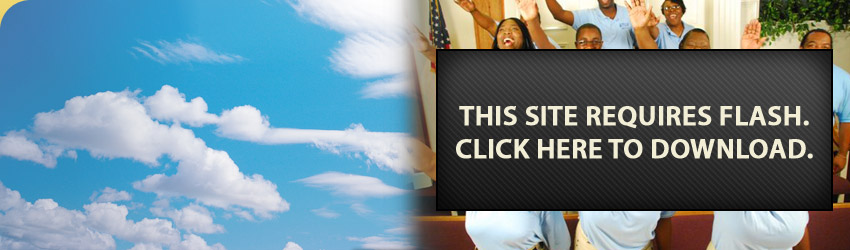 This site requires flash